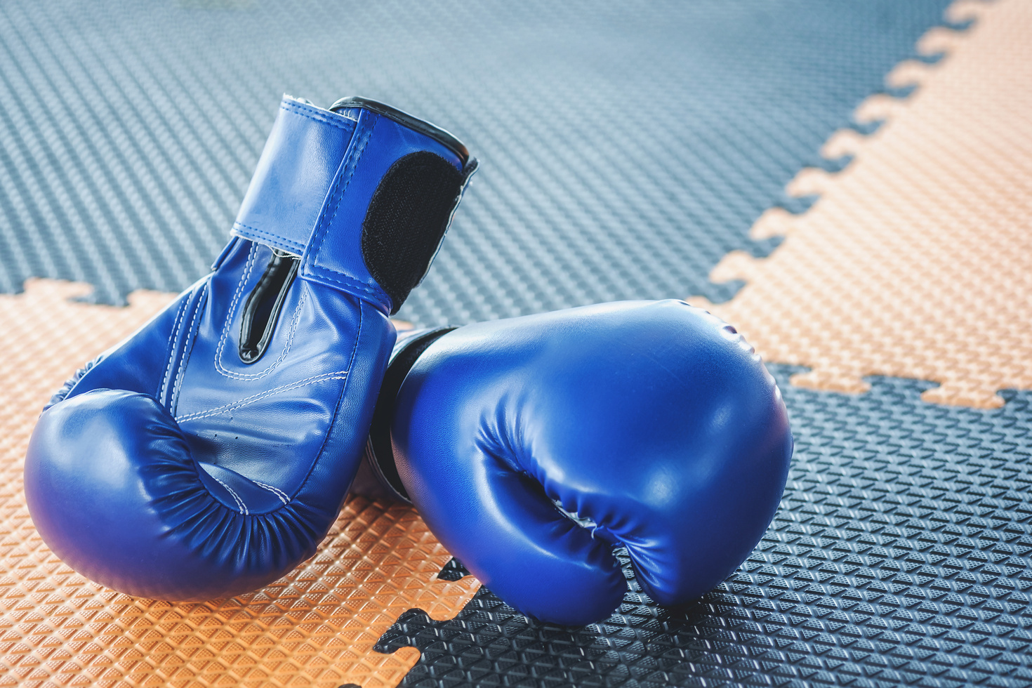 Blue Boxing Gloves